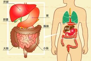 为什么胰腺癌早期难发现？